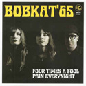 Bobkat 65